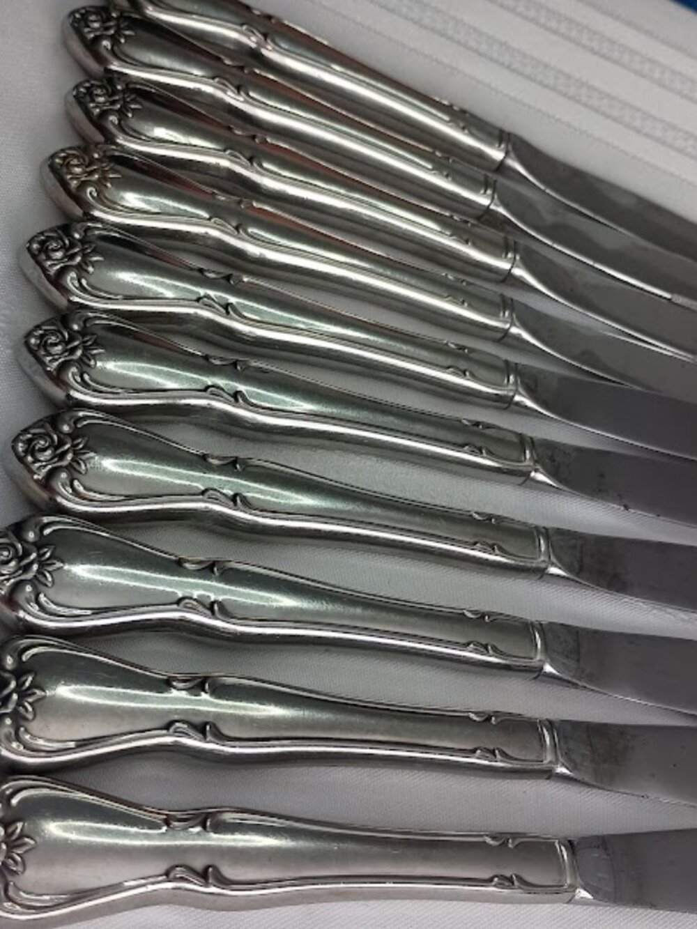 Oneida Arbor Rose set of 10 Dinner Knives Stainless Flatware